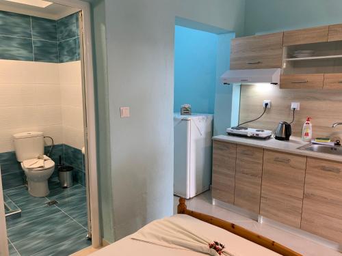 a kitchen with a sink and a toilet in a room at VILLA STATHIS in Nea Vrasna