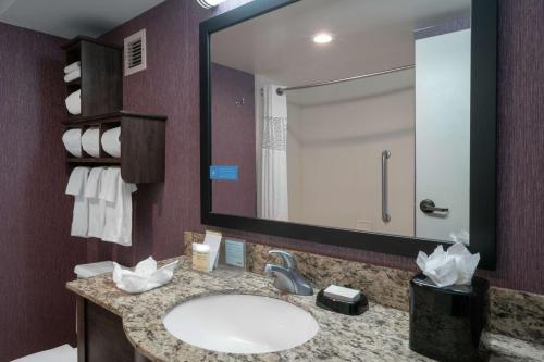 baño con lavabo y espejo grande en Hampton Inn Hopewell Fort Gregg-Adams, en Hopewell