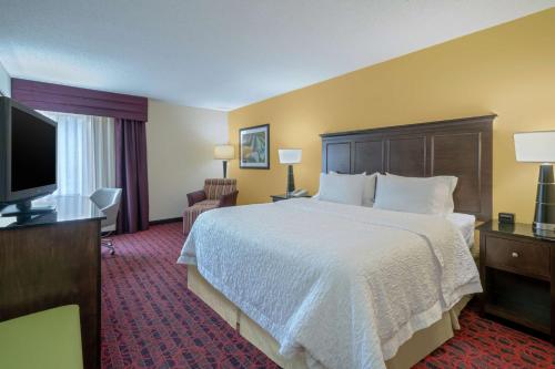 Habitación de hotel con cama y TV de pantalla plana. en Hampton Inn Hopewell Fort Gregg-Adams, en Hopewell