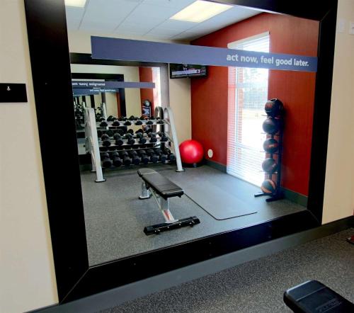Fitness centrum a/nebo fitness zařízení v ubytování Hampton Inn- Suffolk
