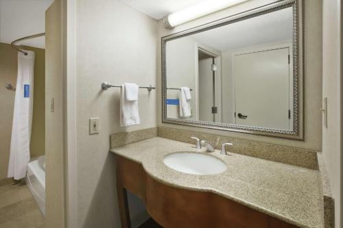 a bathroom with a sink and a mirror at Hampton Inn Richmond-West Innsbrook in Broad Meadows