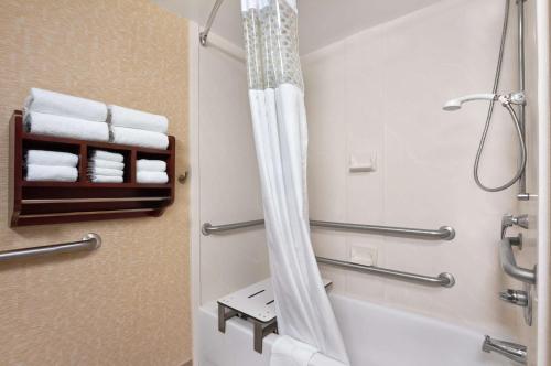 y baño con ducha y cortina de ducha. en Hampton Inn Lexington Park, en Lexington Park