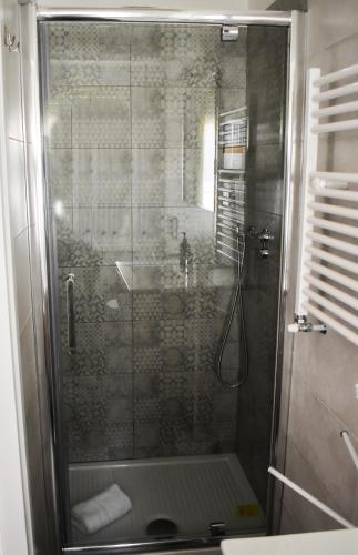 a shower with a glass door in a bathroom at Mau Beach House in Lido di Ostia