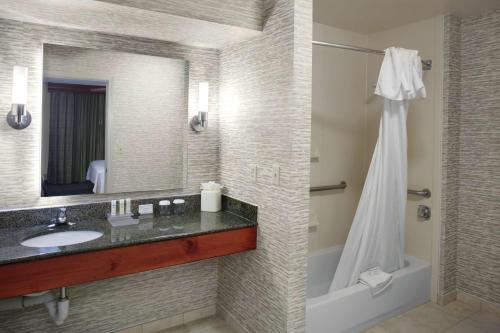 a bathroom with a sink and a mirror and a shower at Homewood Suites by Hilton Richmond - West End / Innsbrook in Broad Meadows