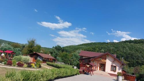 a group of cottages in the mountains with trees at Pensiunea Romosan in Cucuiş