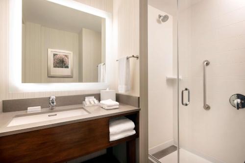 La salle de bains est pourvue d'un lavabo et d'une douche. dans l'établissement Hilton Garden Inn Long Island City, à Queens