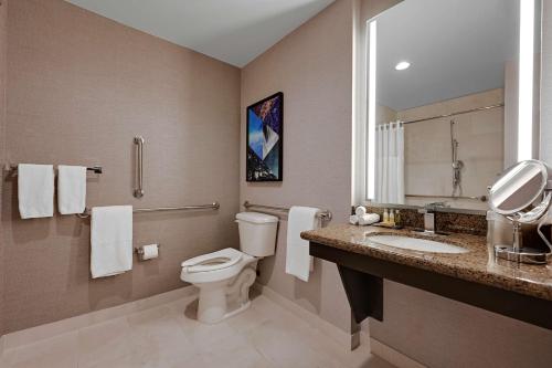 ein Badezimmer mit einem WC, einem Waschbecken und einem Spiegel in der Unterkunft DoubleTree by Hilton Denver International Airport, CO in Denver
