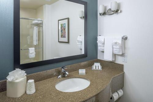 a bathroom with a sink and a mirror at Hilton Garden Inn DFW North Grapevine in Grapevine