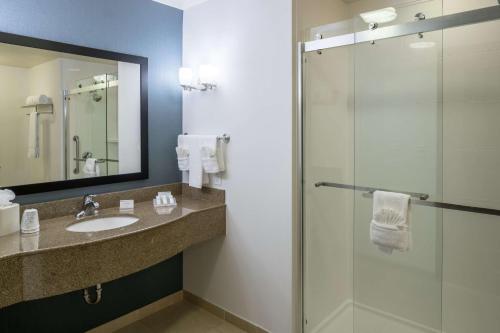 a bathroom with a sink and a shower at Hilton Garden Inn DFW North Grapevine in Grapevine