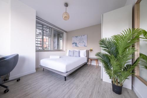 a bedroom with a bed and a plant in it at Stella Stays Comfortable 1 BDR Etiler in Istanbul