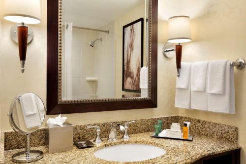 een badkamer met een wastafel en een spiegel bij Hilton East Brunswick in East Brunswick