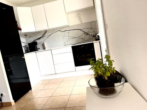 a kitchen with white cabinets and a plant on a table at A Sainte marguerite in Nice