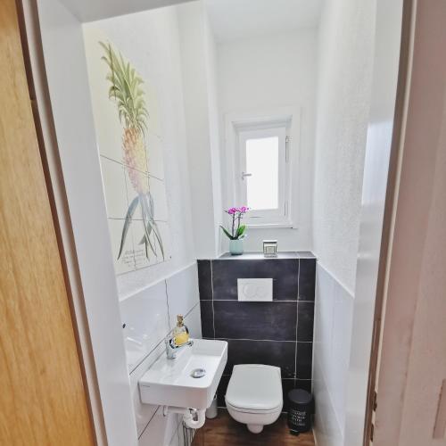 La petite salle de bains est pourvue de toilettes blanches et d'un lavabo. dans l'établissement CASA PINEAPPLE - ZENTRAL - SBAHN - NETFLIX - UNIQUE, à Mettingen