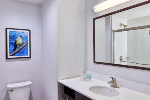 a bathroom with a toilet and a sink and a mirror at Hampton Inn & Suites Teaneck/Glenpointe in Teaneck