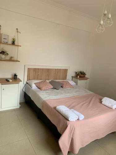 1 dormitorio con 1 cama grande y 2 almohadas en Departamento Centro en Santiago del Estero