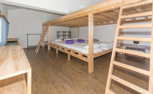 a room with two bunk beds and a ladder at Quinta de São Pedro in Sobreda