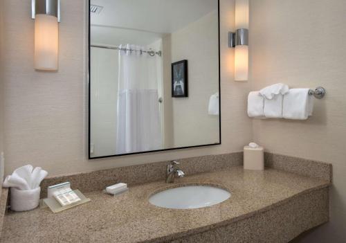 uma casa de banho com um lavatório e um espelho em Hilton Garden Inn Albany Medical Center em Albany
