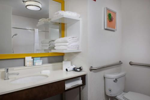 a bathroom with a sink and a toilet and a mirror at Hampton Inn Alamogordo in Alamogordo