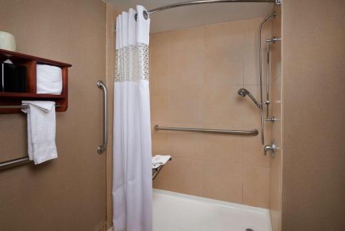 ein Bad mit Dusche und Duschvorhang in der Unterkunft Hampton Inn Ann Arbor-South in Ann Arbor