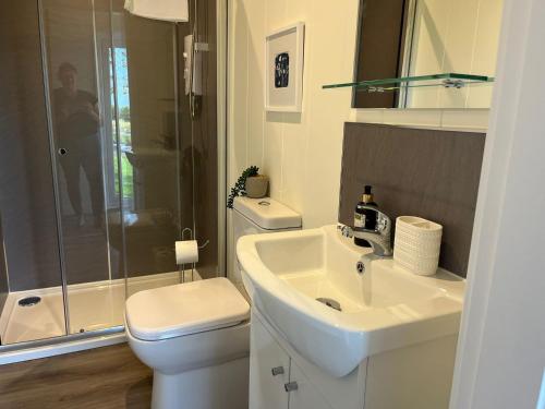 a bathroom with a sink and a toilet and a shower at Green Law - Dog Friendly in Penicuik