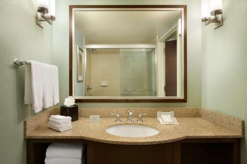 a bathroom with a sink and a large mirror at Hilton Garden Inn Atlanta Downtown in Atlanta