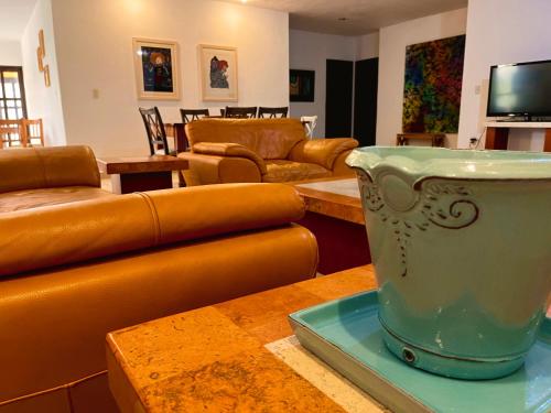- un salon avec des canapés et une table avec un pot dans l'établissement LAS ALAMEDAS Departamentos céntricos con estacionamiento privado, à Guanajuato