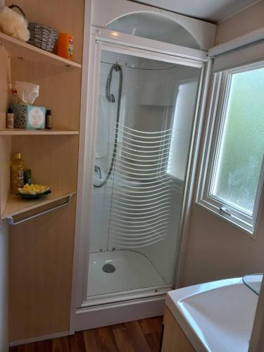 une douche avec une porte vitrée dans une salle de bain dans l'établissement Mobil-House Parc des Roches, à Saint-Chéron