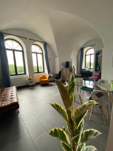 un salon avec une plante au milieu dans l'établissement Luxury Loft Metz, à Metz