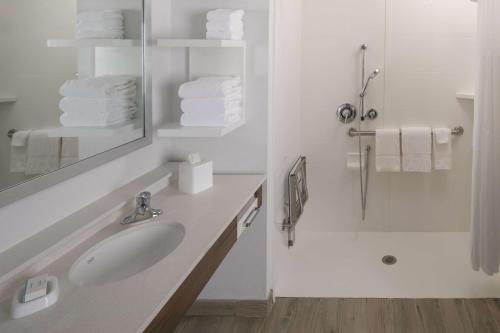 a bathroom with a sink and a shower with towels at Hampton Inn & Suites-Asheville Biltmore Village, NC in Asheville