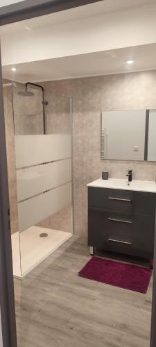 une salle de bain avec une douche, un lavabo et un miroir dans l'établissement meublé neuf avec jardin, à Clairvaux-les-Lacs