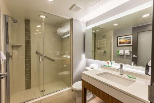 a bathroom with a shower and a sink and a toilet at DoubleTree by Hilton Asheville Downtown in Asheville