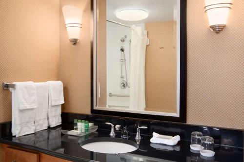 baño con lavabo y espejo grande en Homewood Suites by Hilton Newtown - Langhorne, PA, en Newtown