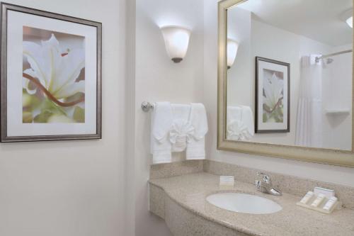 a bathroom with a sink and a mirror at Hilton Garden Inn Worcester in Worcester