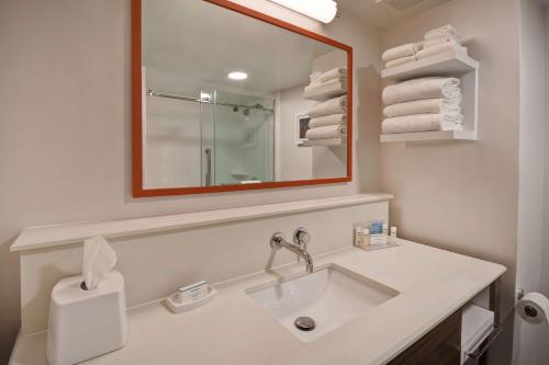 Ένα μπάνιο στο Hampton Inn Birmingham-Colonnade 280