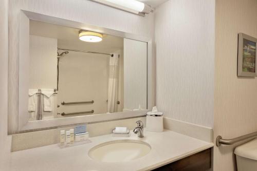 a bathroom with a sink and a large mirror at Hampton Inn Birmingham-Trussville in Trussville