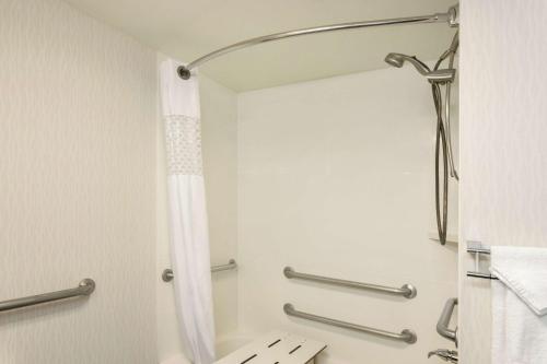y baño con ducha y cortina de ducha. en Hampton Inn Birmingham-Trussville, en Trussville