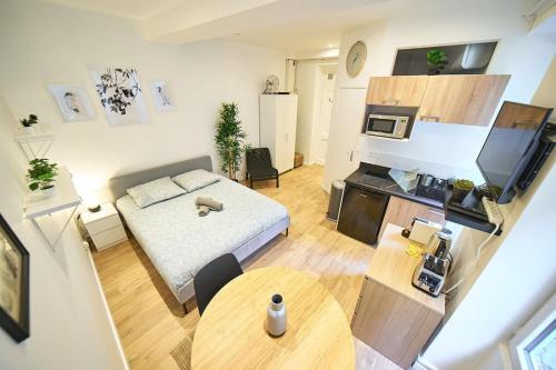 Le Petit Pierre Scize - Quais de Saône