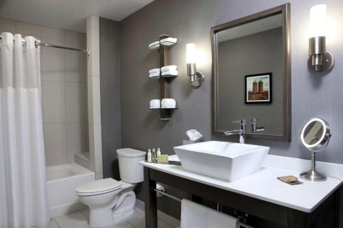 a bathroom with a sink and a toilet and a mirror at DoubleTree by Hilton West Fargo Sanford Medical Center Area in Fargo