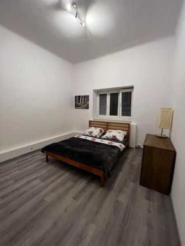 Mlýnský ostrov apartment