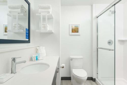 a white bathroom with a toilet and a sink at Hampton Inn Ashland City, Tn in Ashland City