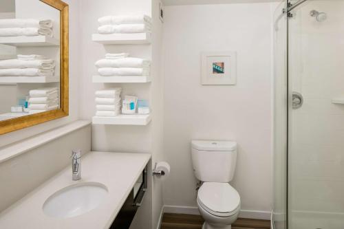 a bathroom with a toilet and a sink and a shower at Hampton Inn & Suites Nashville-Airport in Nashville