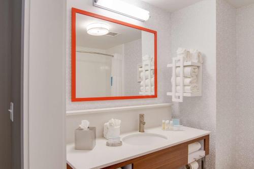 a bathroom with a sink and a mirror at Hampton Inn & Suites by Hilton Nashville North Skyline in Nashville