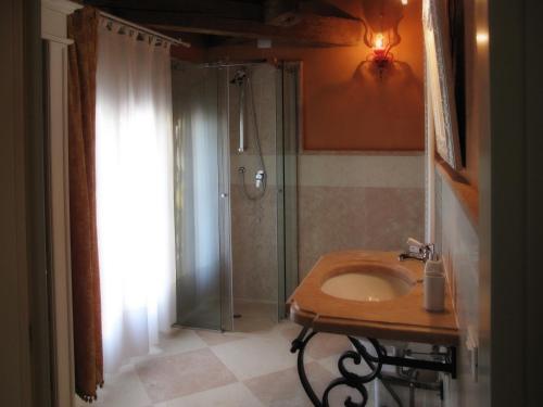uma casa de banho com um chuveiro, um lavatório e um chuveiro em Agriturismo Villa Anconetta em Loreo