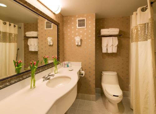 a bathroom with a sink and a toilet and a mirror at Hampton Inn & Suites Boston Crosstown Center in Boston
