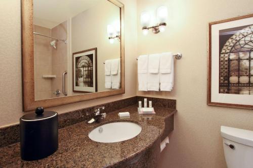 a bathroom with a sink and a toilet and a mirror at Hilton Garden Inn Beaumont in Beaumont