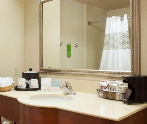 a bathroom with a sink with a mirror and a shower at Hampton Inn and Suites-Brownsville in Brownsville