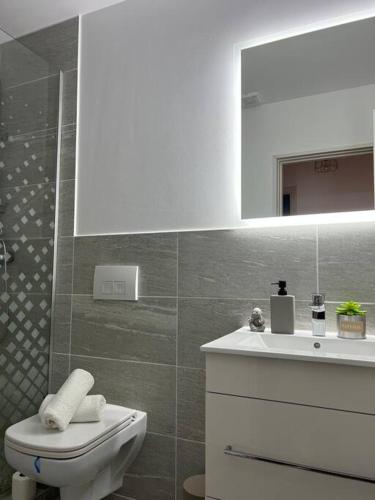 uma casa de banho com um WC, um lavatório e um espelho. em Apartament 3 camere em Baia Mare