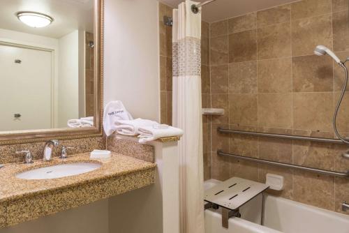 a bathroom with a sink and a tub and a mirror at Hampton Inn Columbia Northeast-Fort Jackson Area in Columbia