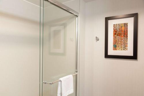 a shower with a glass door in a bathroom at Hampton Inn Akron-South in Akron