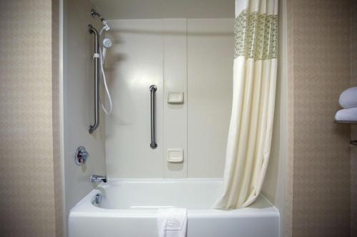 a bathroom with a tub and a shower with a shower curtain at Hampton Inn Carrollton in Carrollton